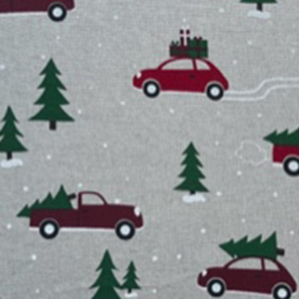 Autos mit Tannenbaum
