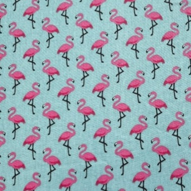 Flamingos - türkis